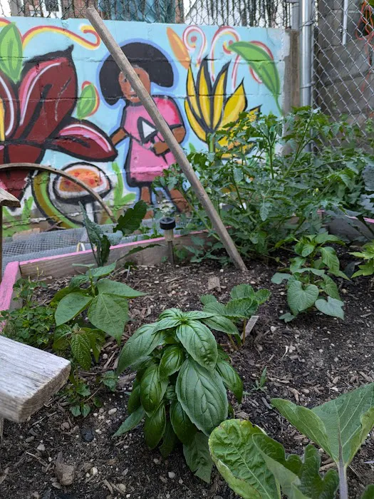 97th Street Community Garden Picture 7