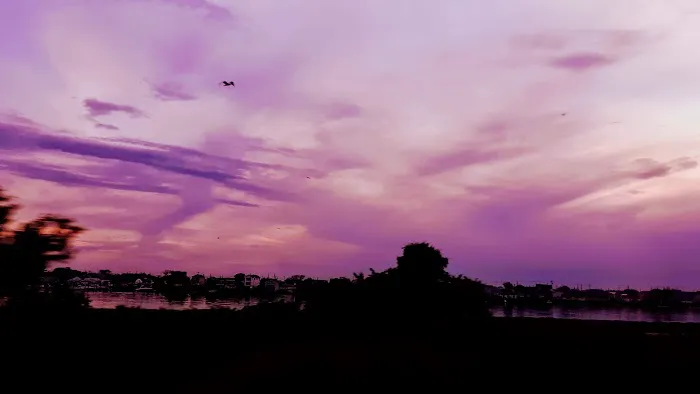 Pink Playground Picture 3
