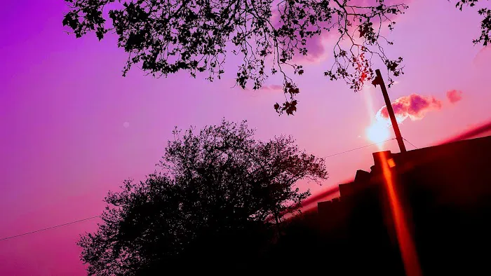 Pink Playground Picture 4
