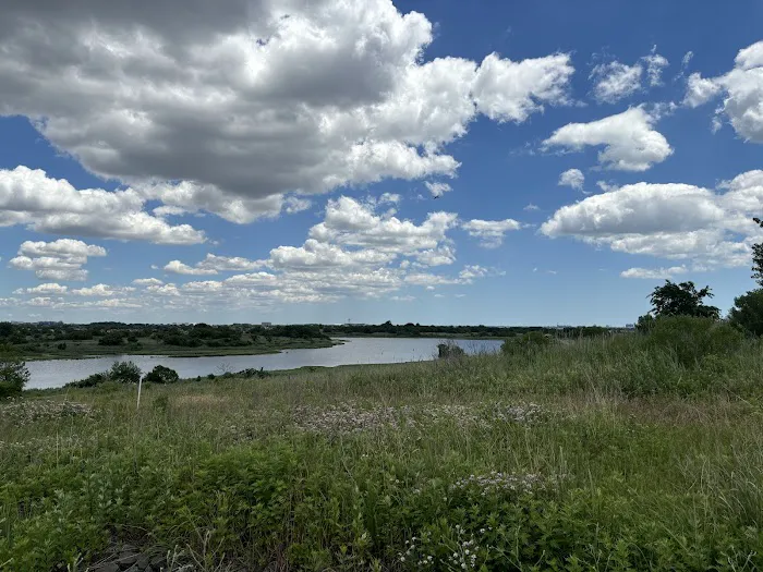 Top Of Shirley Chisholm Park Picture 10