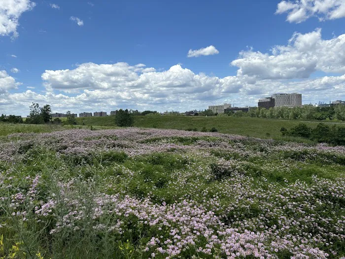 Top Of Shirley Chisholm Park Picture 5