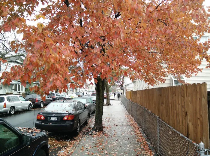 Jhelc of Ozone Park Picture 2