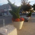 Public Place