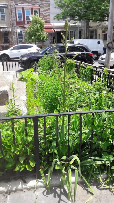 Public Place Picture 5
