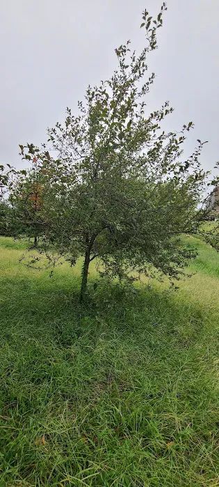 Public Place Picture 3