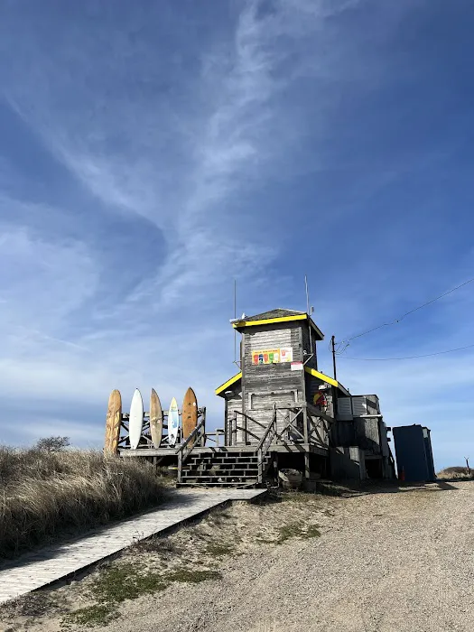 Atlantic Double Dunes Preserve Picture 2