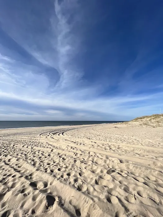 Atlantic Double Dunes Preserve Picture 1