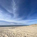 Atlantic Double Dunes Preserve