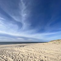Atlantic Double Dunes Preserve ico