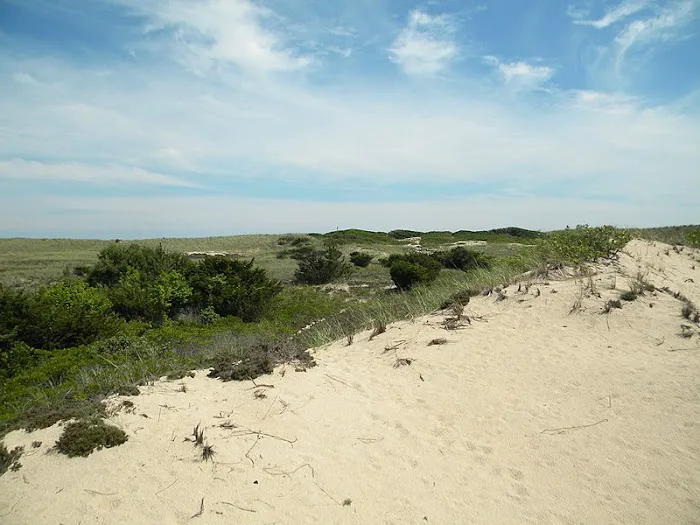 Amagansett National Wildlife Refuge Picture 5