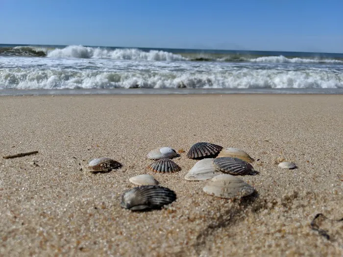 Amagansett National Wildlife Refuge Picture 3
