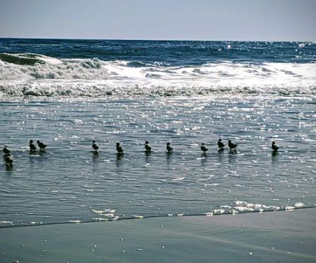 Amagansett National Wildlife Refuge