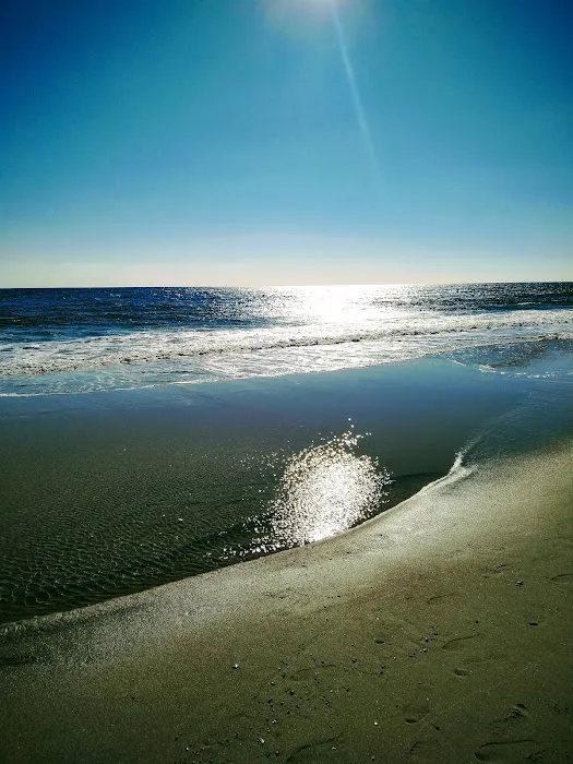 Amagansett National Wildlife Refuge Picture 9