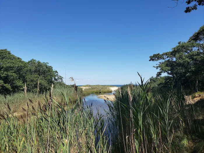 Fresh Pond Park, Amagansett Picture 5