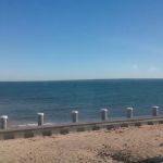 Dennistown Bell Park