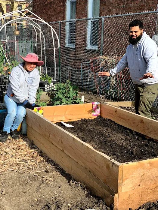 Chestnut Street Community Garden Picture 2