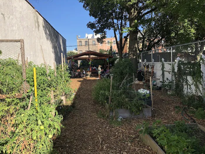 Chestnut Street Community Garden Picture 7