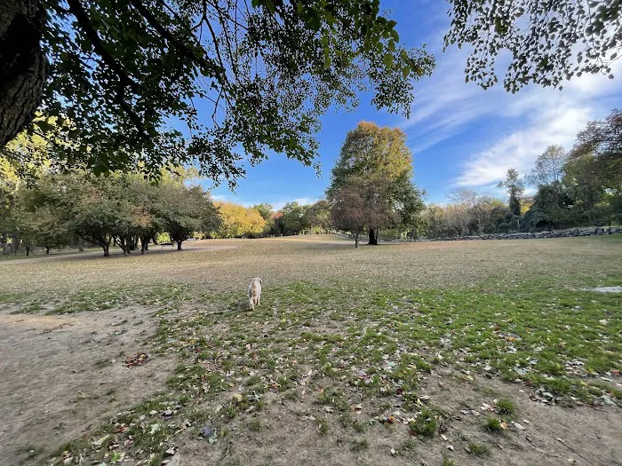 Ward Acres Park Picture 10