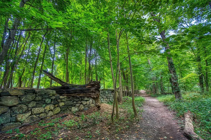 Ward Acres Park Picture 9