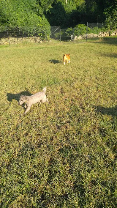 Ward Acres Park Picture 5