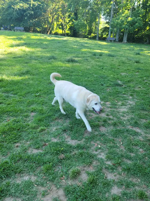 Ward Acres Park Picture 3