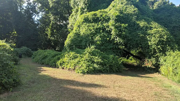 Ward Acres Park Picture 8