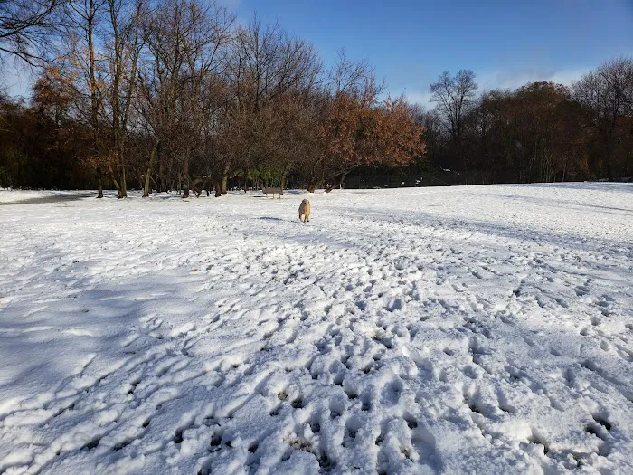 Ward Acres Park Picture 7