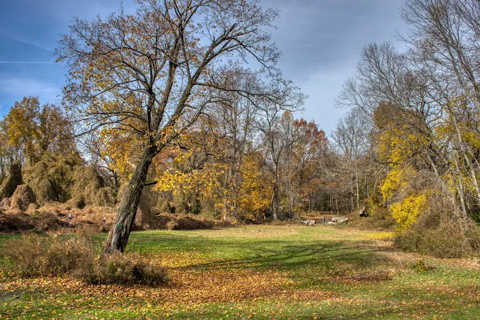 Ward Acres Park Picture 6