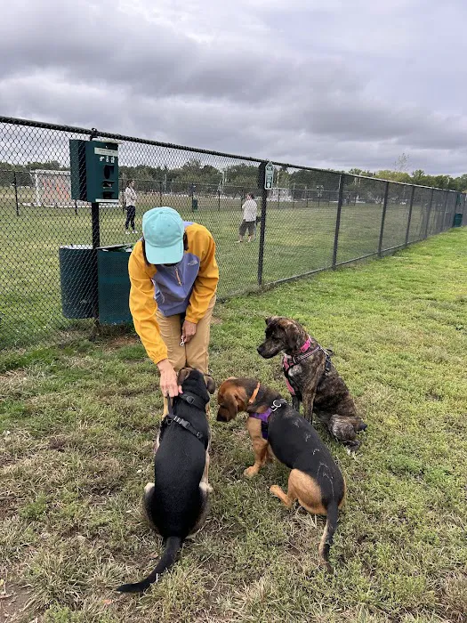 Bark Park - off leash dog park Picture 2