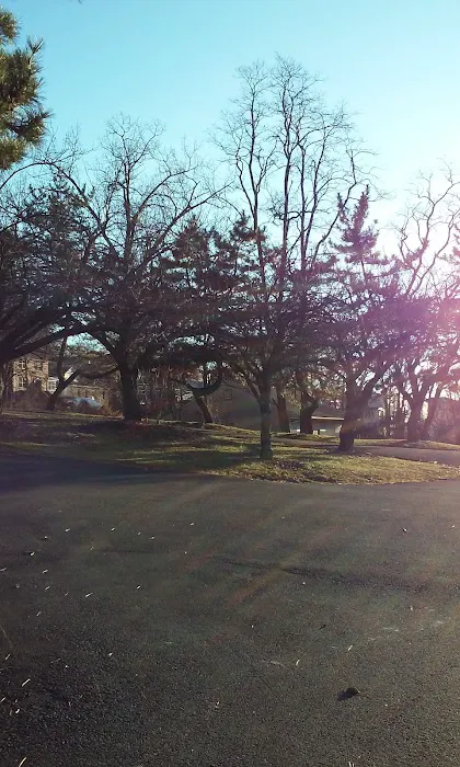 Park Hugh Redmond Picture 10