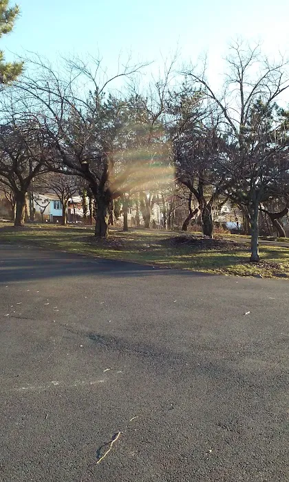 Park Hugh Redmond Picture 6