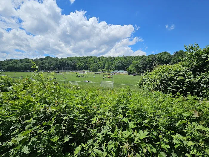 H F Redmond Junior Memorial Park Picture 4