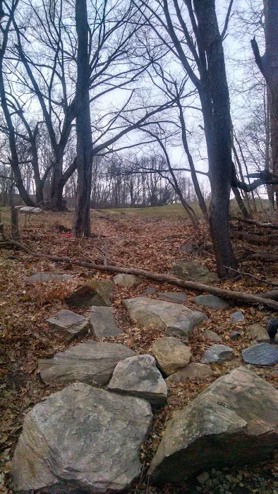 H F Redmond Junior Memorial Park Picture 10
