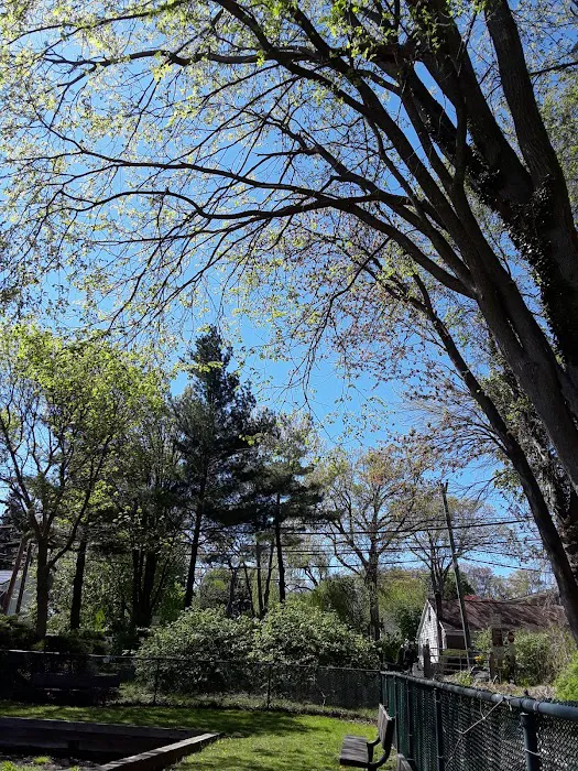 Frank Egan Memorial Park Picture 6