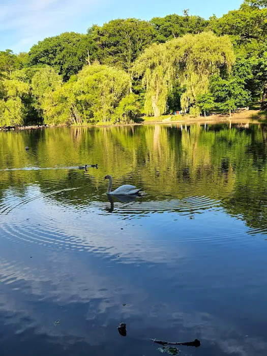 Tibbetts Brook Park Picture 3