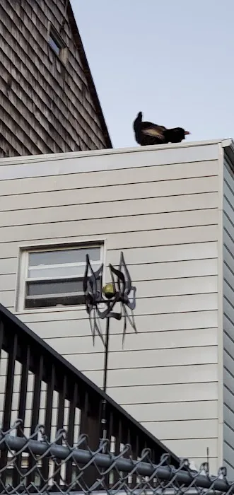 Yonkers Gateway Motel Picture 5