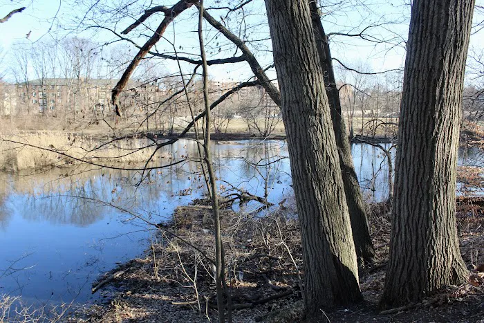 Park Picture 2