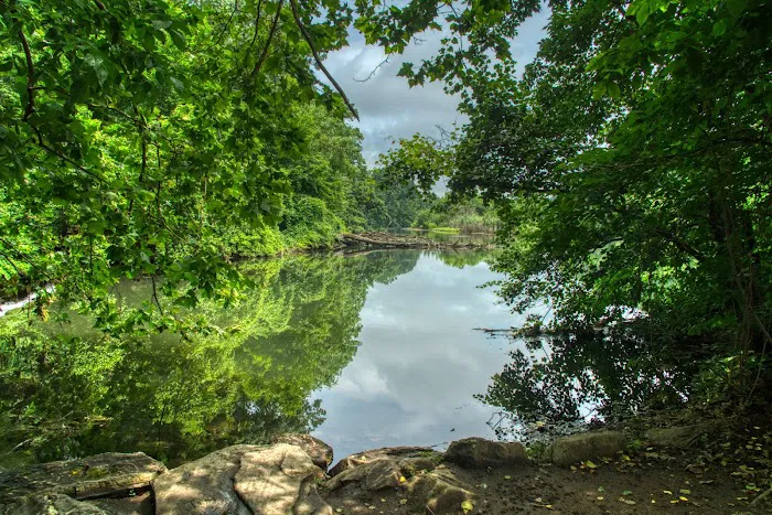Park Picture 10