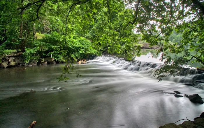 Park Picture 9