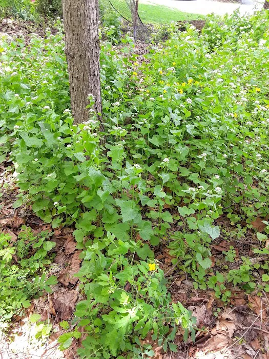 Leewood Park Picture 6