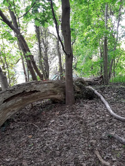Leewood Park Picture 8
