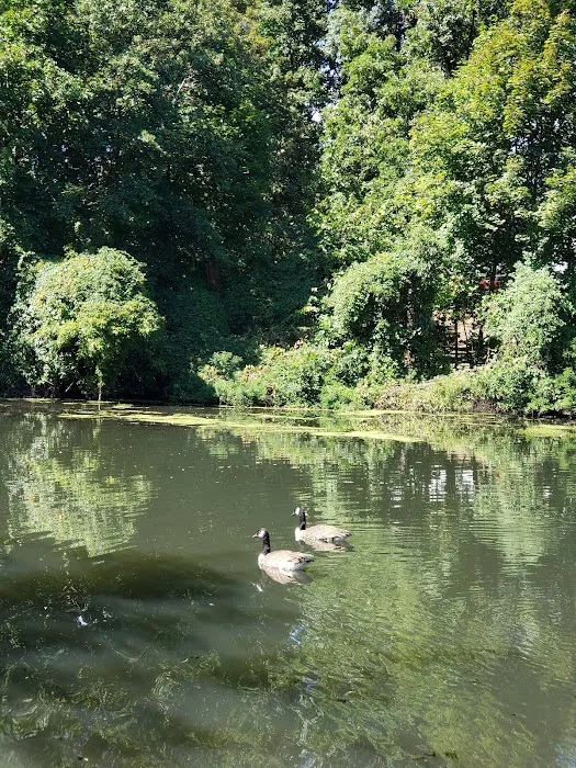 Malcolm Wilson County Park Picture 10