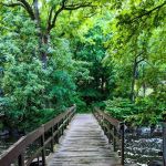 Malcolm Wilson County Park