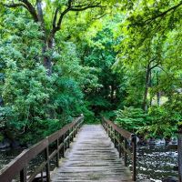Malcolm Wilson County Park ico