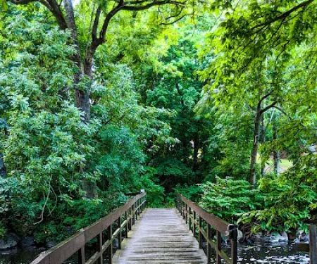 Malcolm Wilson County Park