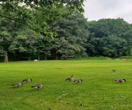 Van Cortlandt Park