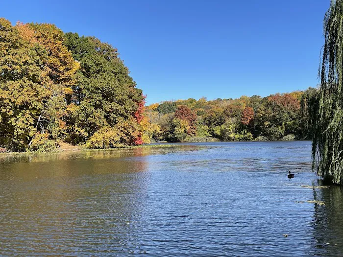 Van Cortlandt Park Picture 8