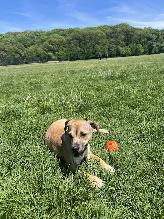 Van Cortlandt Park Picture 6