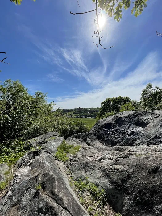 Van Cortlandt Park Picture 7
