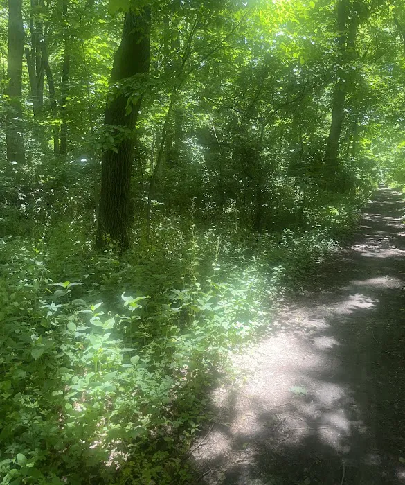 Old Putnam Trail Picture 5